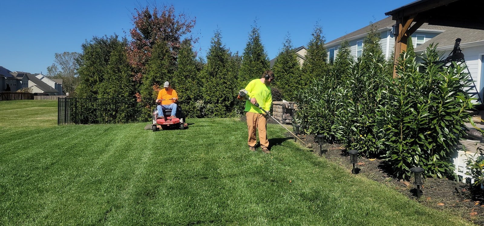 Green Knack lawn-care crew working in a Tampa backyard